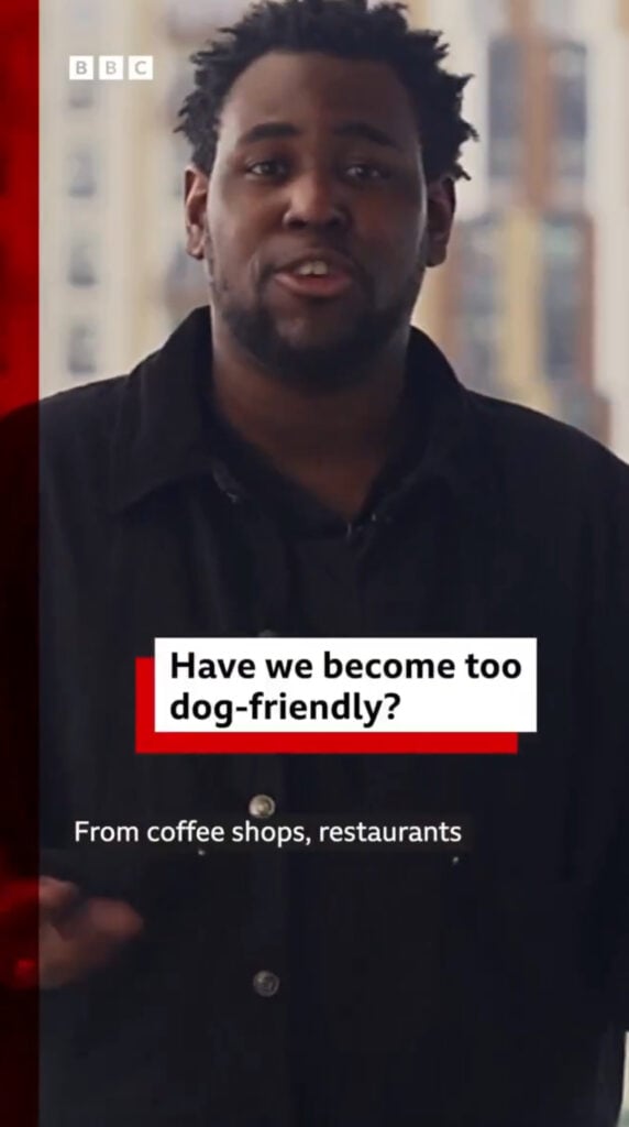 BBC Claims Britain Is ‘Too Dog-Friendly’ – Igniting Massive Backlash from Dog Owners