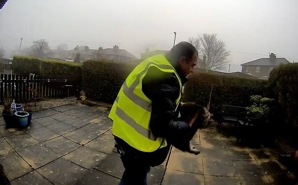 Amazon Driver Faces Jail After Being Caught On Ring Doorbell Stealing Family’s Cat While Making Delivery In West Yorkshire