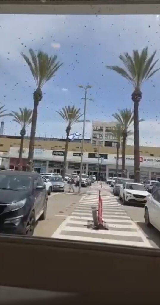 Massive Bee Swarm Brings Israeli City to Standstill as Experts Dismiss ‘Biblical’ Claims