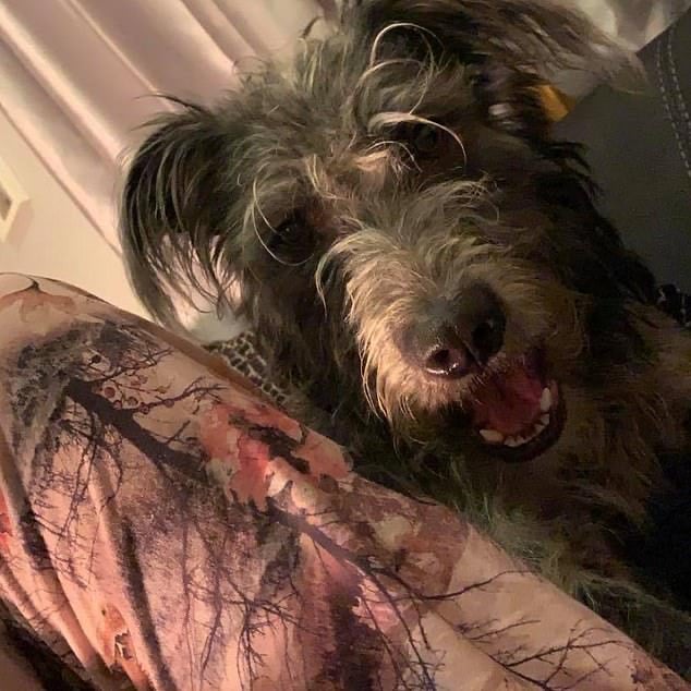 ‘Softest’ Dog That Mauled 19-Year-Old Owner to Death Pictured as Father Reveals Tragic Discovery