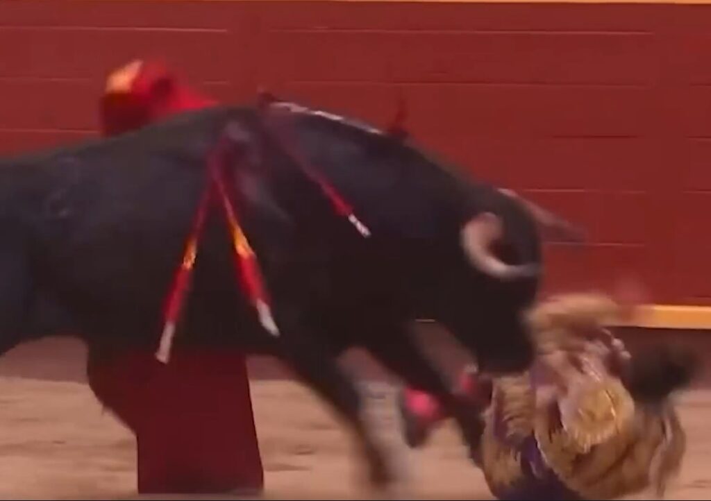 Spanish Matador Gored And Fighting For Life After Horrific Bullring Attack