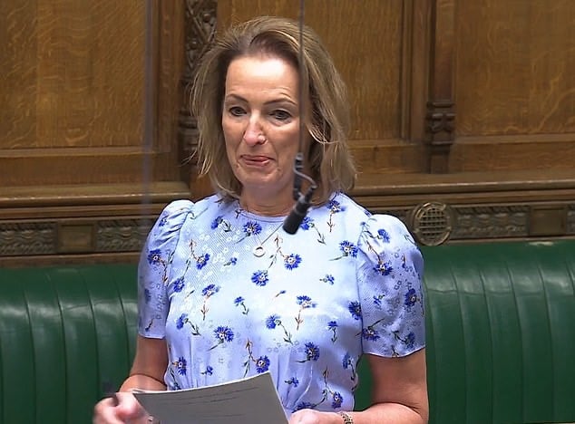 MP Breaks Down In Commons Revealing Mother’s Forced Adoption Secret