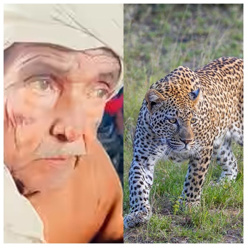 Elderly Man, 88, Killed After Leopard Drags Him From Veranda in India