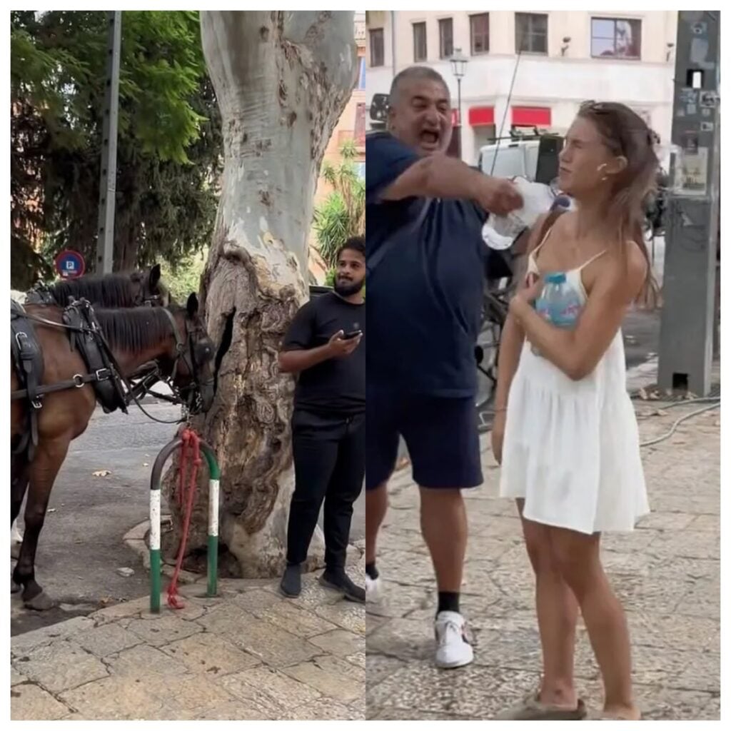 Carriage Driver Douses Influencer With Water, Calls Her ‘Nazi’ Over Horse Welfare Row